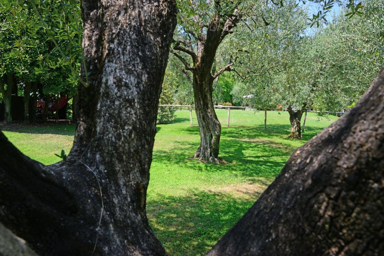 Agriturismo Corte Stefani Capannori Exterior foto