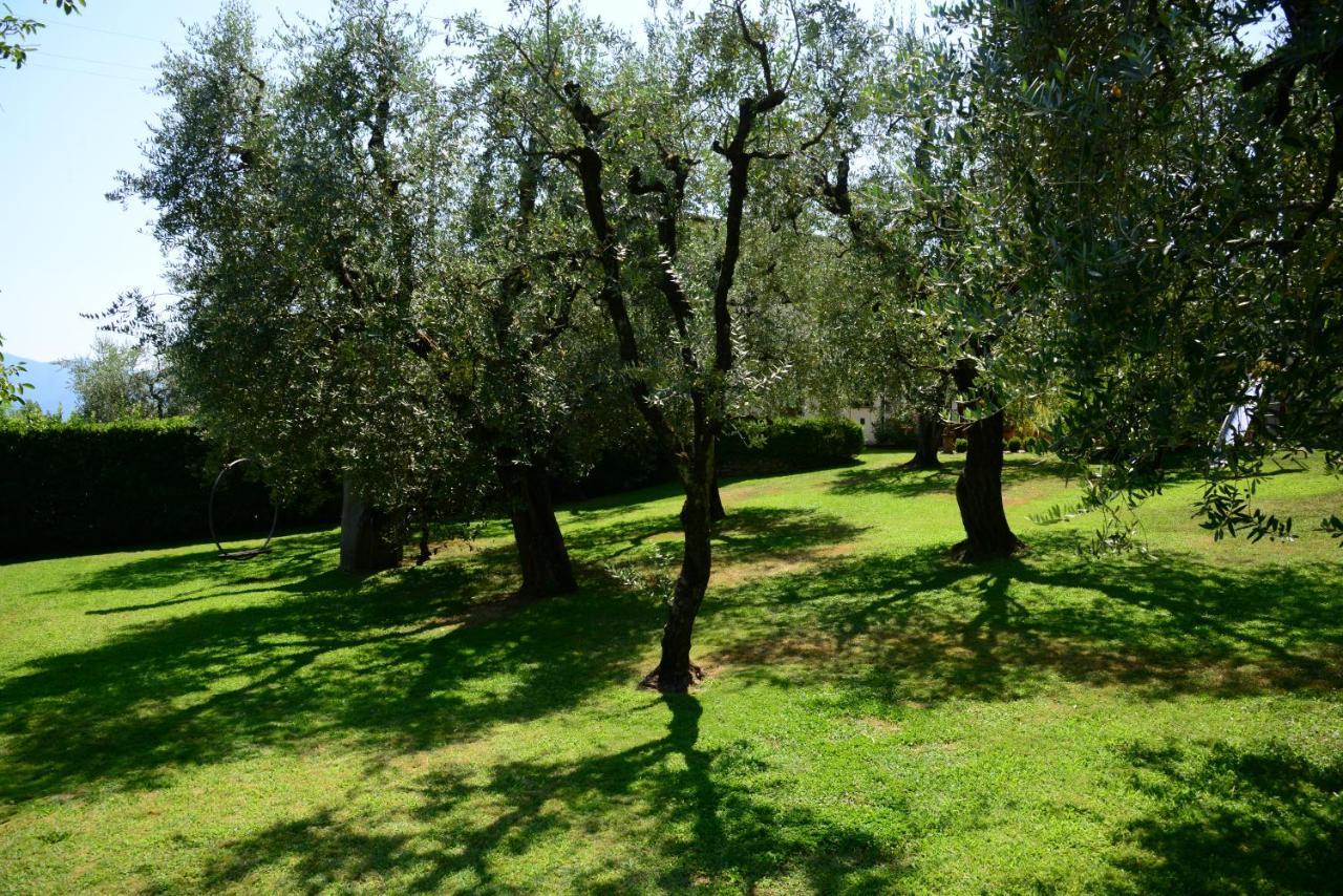 Agriturismo Corte Stefani Capannori Exterior foto